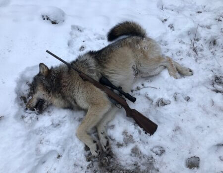 wta_2011_IMG-4881 (1)