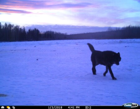 wta_2011_IMG-4882 (1)