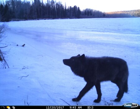 wta_2011_IMG-4883 (3)