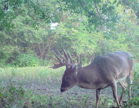 wta_2015_72341359_2392711324335795_2033362827892228096_n