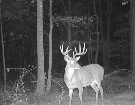 wta_2015_72476169_2389832267957034_5979366603777638400_n