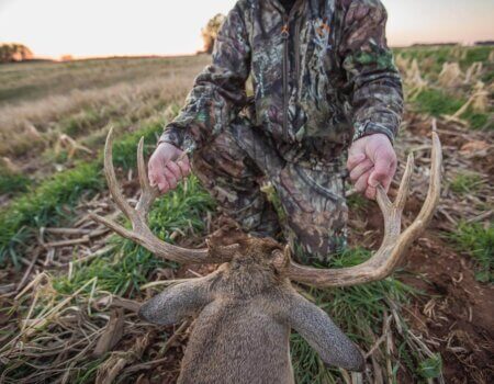 wta_2015_96139764_2567367443536848_3103989361788583936_n