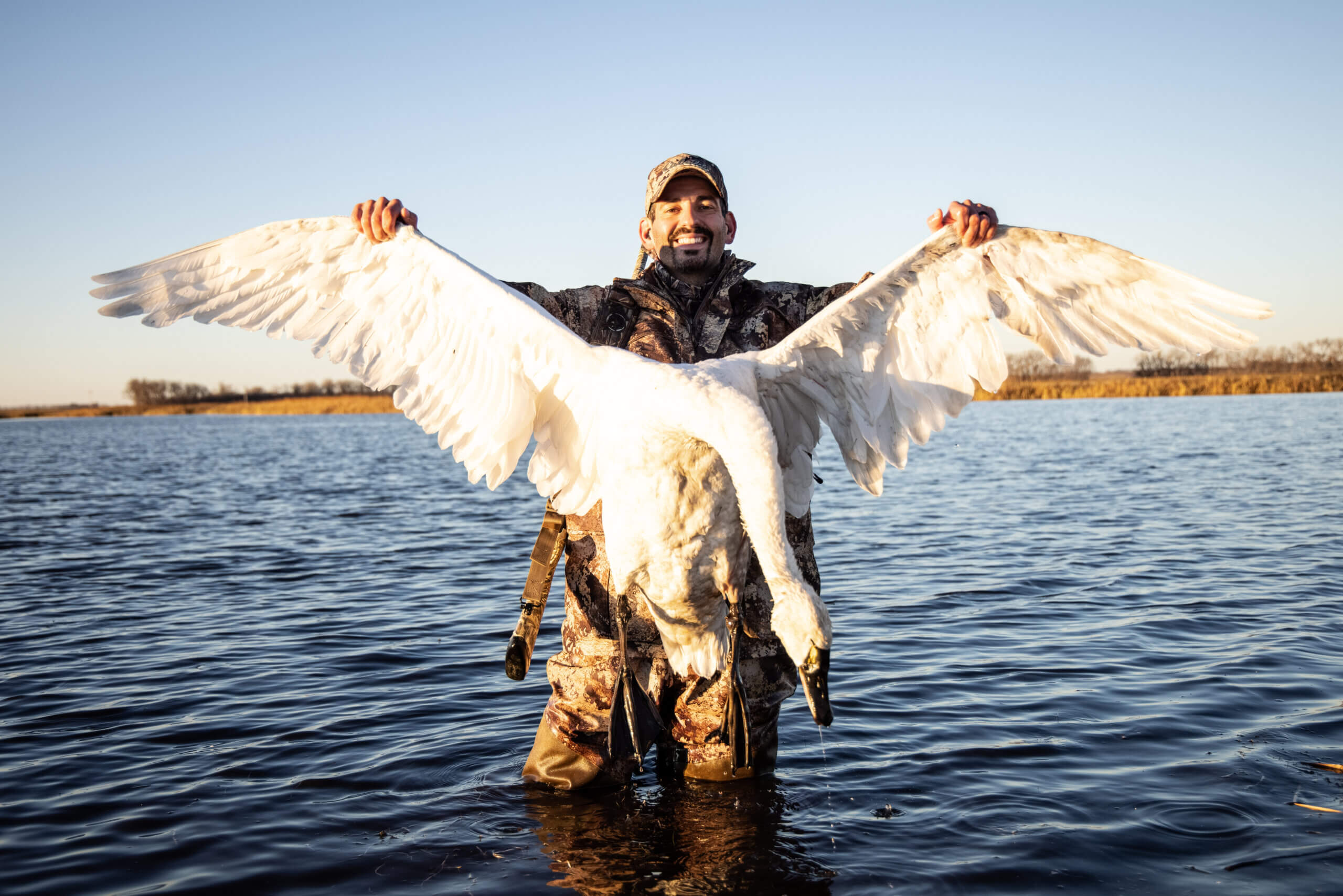 Waterfowl Slam North Dakota's Tundra Swan. The Journey Within, A Bird