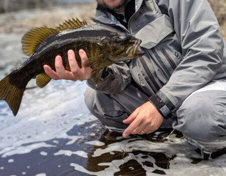 wta_2020_00100lPORTRAIT_00100_BURST20190513122309805_COVER