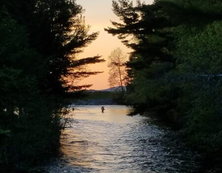 wta_2020_20180526_200026