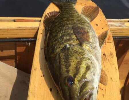 wta_2020_32690355_10155268611862027_8797239860080410624_o