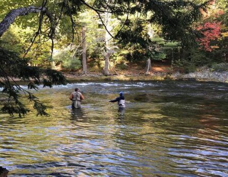 wta_2020_72117690_10156289925477027_3498740299885182976_o