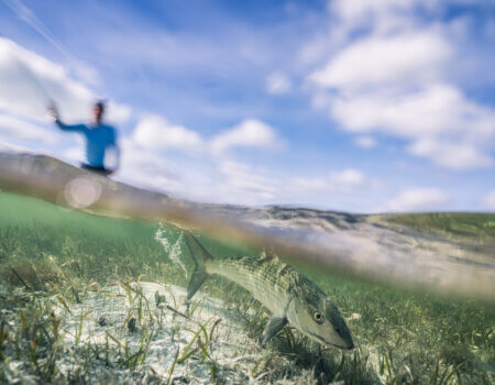 wta_2022_mjp-berry-210120-8980