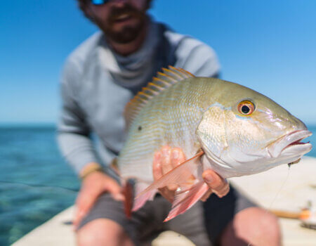 wta_2022_mjp-berry-210123-9327