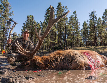 wta_2028_DSC05561_sm