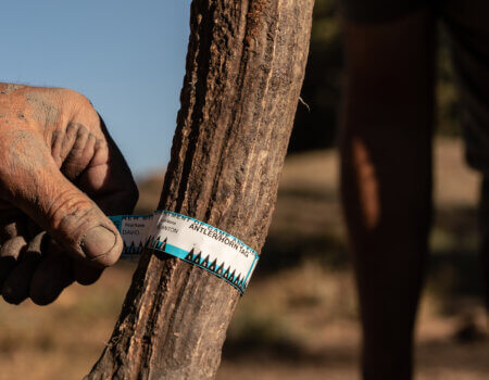 wta_2028_DSC05681_sm