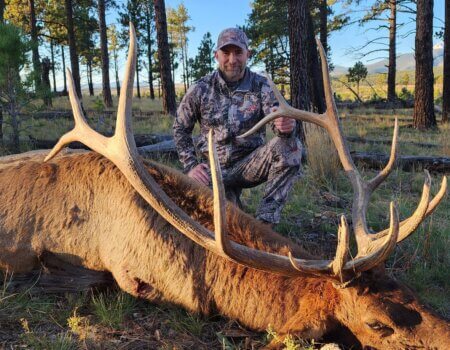 wta_2028_processed-65ed5abb-41bf-46b0-ac61-1ae733ec515e_0nBMuD5q