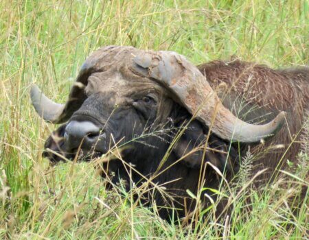 wta_2031_32028384_Unknown