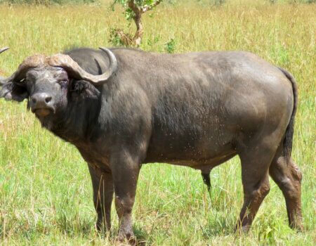 wta_2031_32028976_Unknown