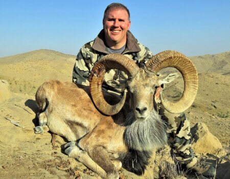 wta_2034_Blanford urial (2)