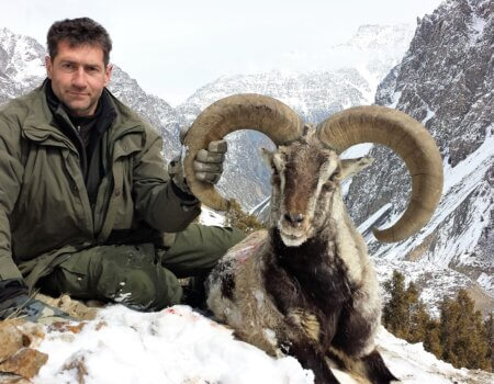 wta_2034_Blue sheep (2)