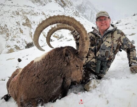 wta_2034_Himalayan ibex (2)