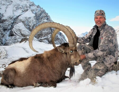 wta_2034_Himalayan ibex (3)