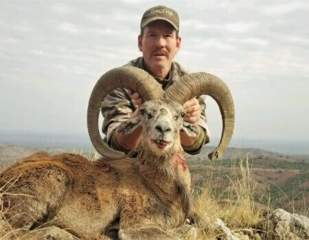 wta_2034_Punjap urial (2)