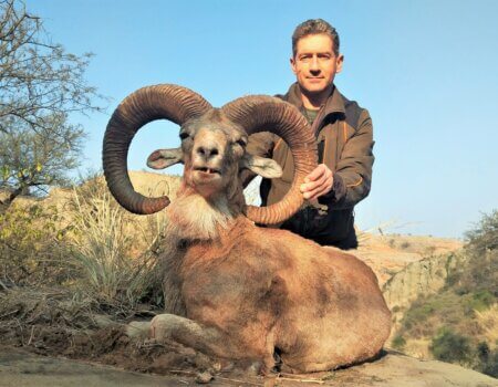 wta_2034_Punjap urial (3)