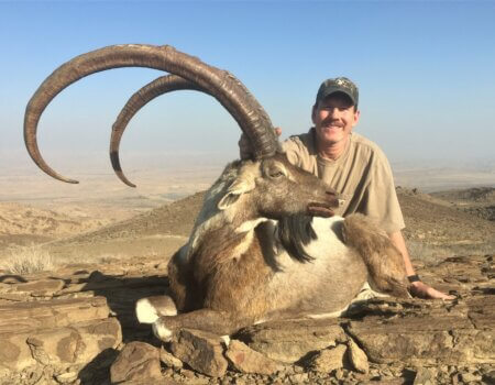 wta_2034_Sind ibex (1)