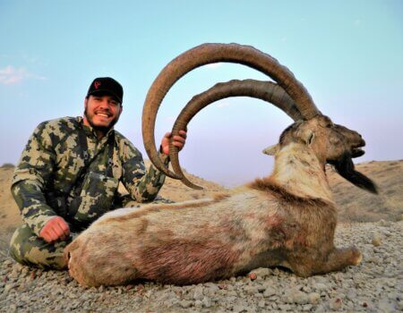 wta_2034_Sind ibex (3)
