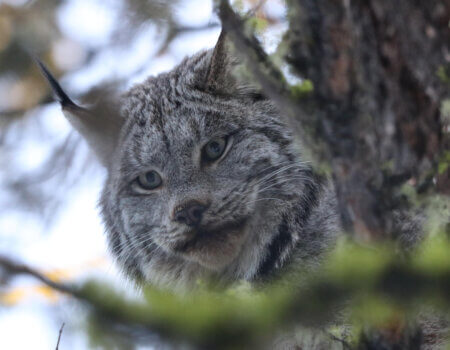 wta_2043_unnamed (30)