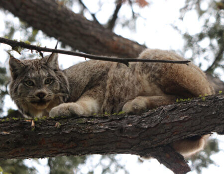 wta_2043_unnamed (31)