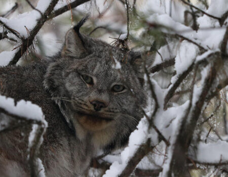 wta_2043_unnamed (32)