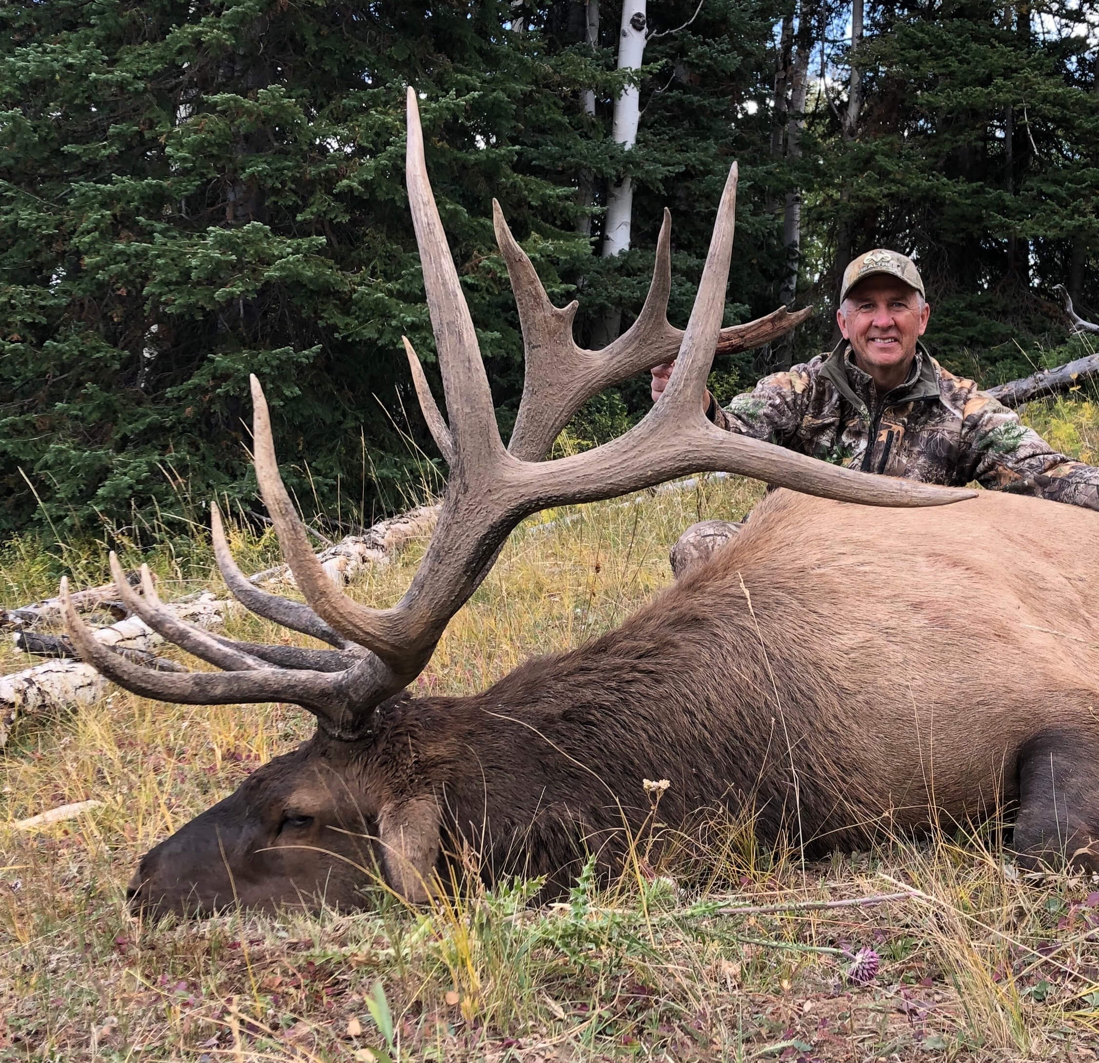 Hunt Elk, Moose, and Bighorn Sheep in this Fine Western State ...