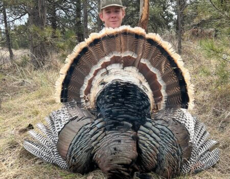 wta_2053_IMG_3414 (1)