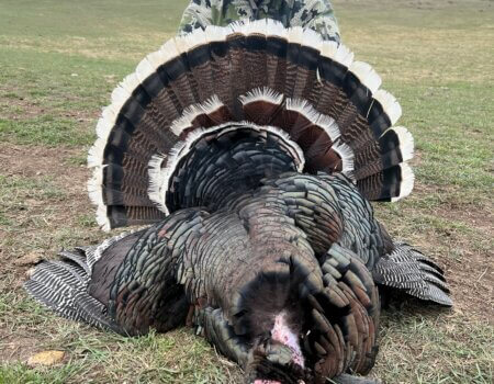 wta_2053_IMG_3421 (2)