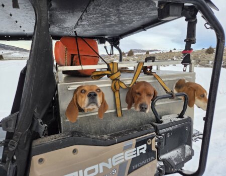 wta_2054_20251209_075919