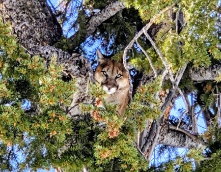 wta_2054_20251209_110352~2