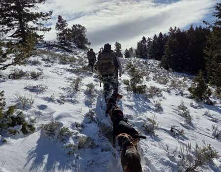 wta_2054_20251209_122042