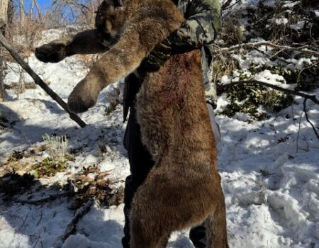 wta_2054_Mark Foglesong -