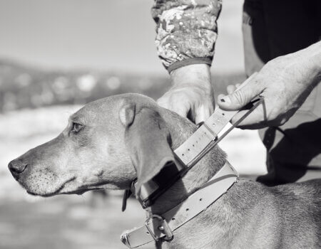 wta_2054_TFC_MountainLion_UT_109