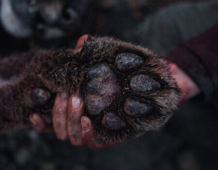 wta_2054_TFC_MountainLion_UT_17