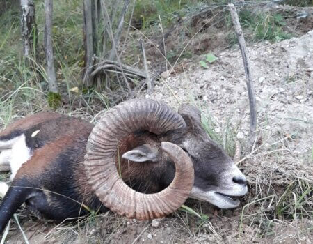 wta_2056_20201001_172733