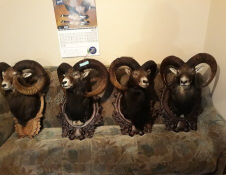 wta_2056_20201114_143010