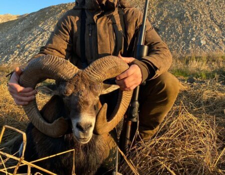 wta_2056_20211121_171900