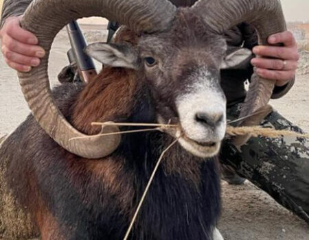 wta_2056_20211121_171936