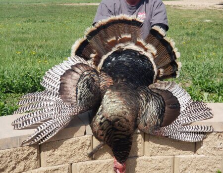 wta_2064_20210512_103840