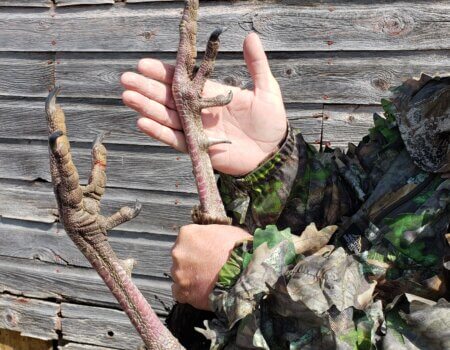 wta_2064_20210512_104156