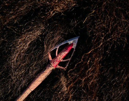 wta_2065_TFC_Bison_SD_14