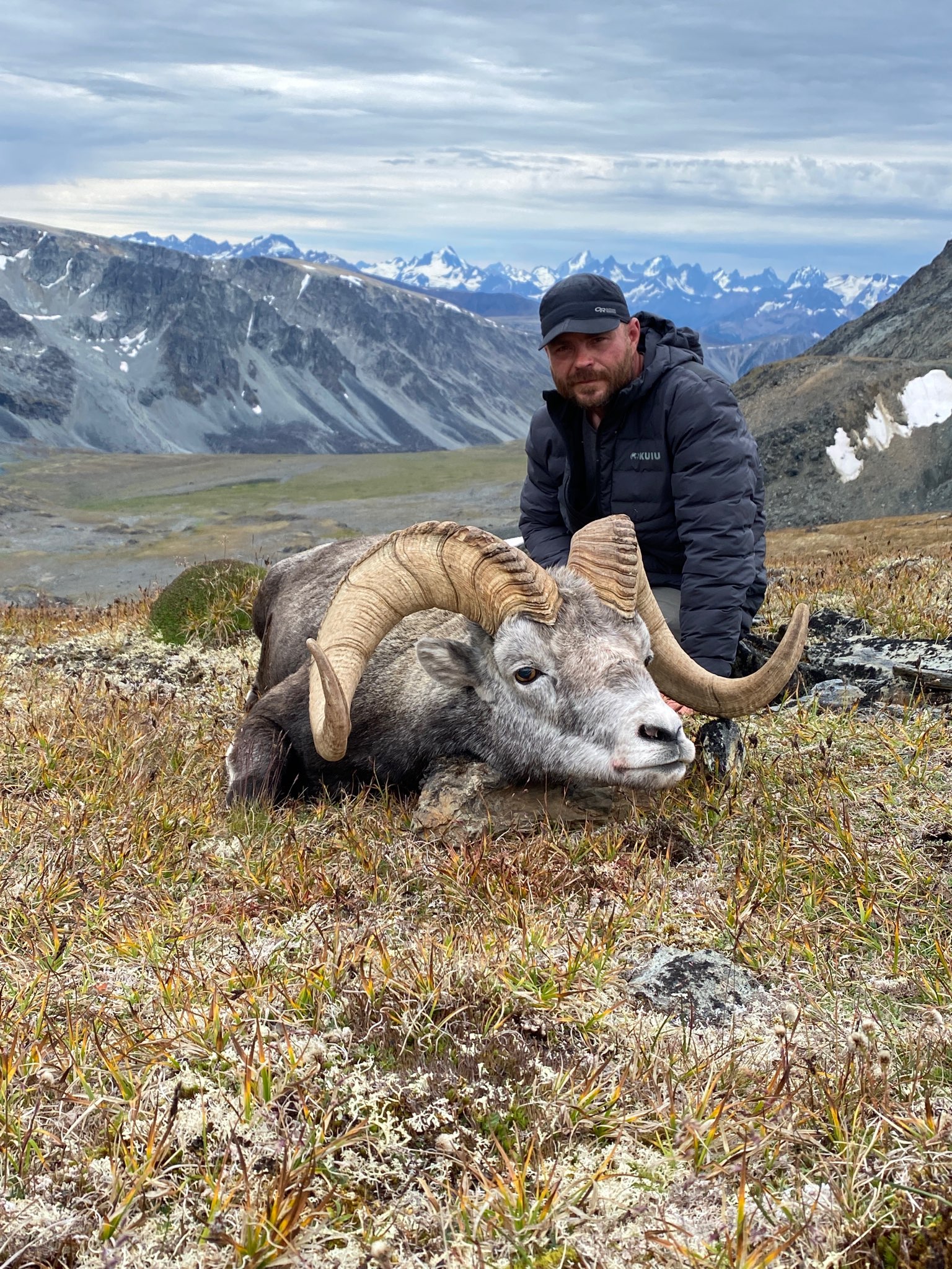 Trophy Stone Sheep Hunting - BC - Worldwide Trophy Adventures