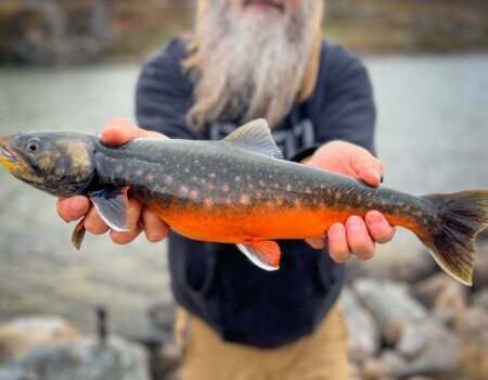 wta_2067_JC_Greenland-70