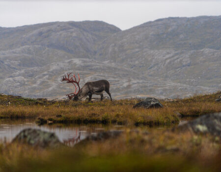 wta_2067_PAC05944-EDIT