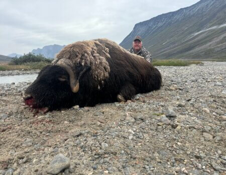 wta_2067_Photo 5 Holsbeke T24274