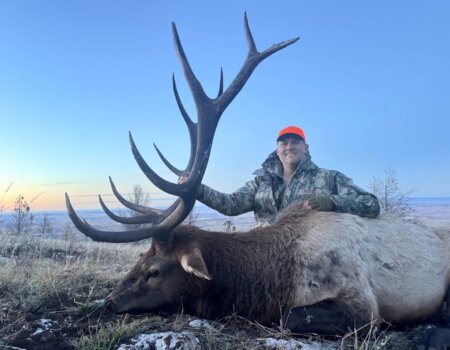 wta_2076_Screenshot 2026-01-06 111617